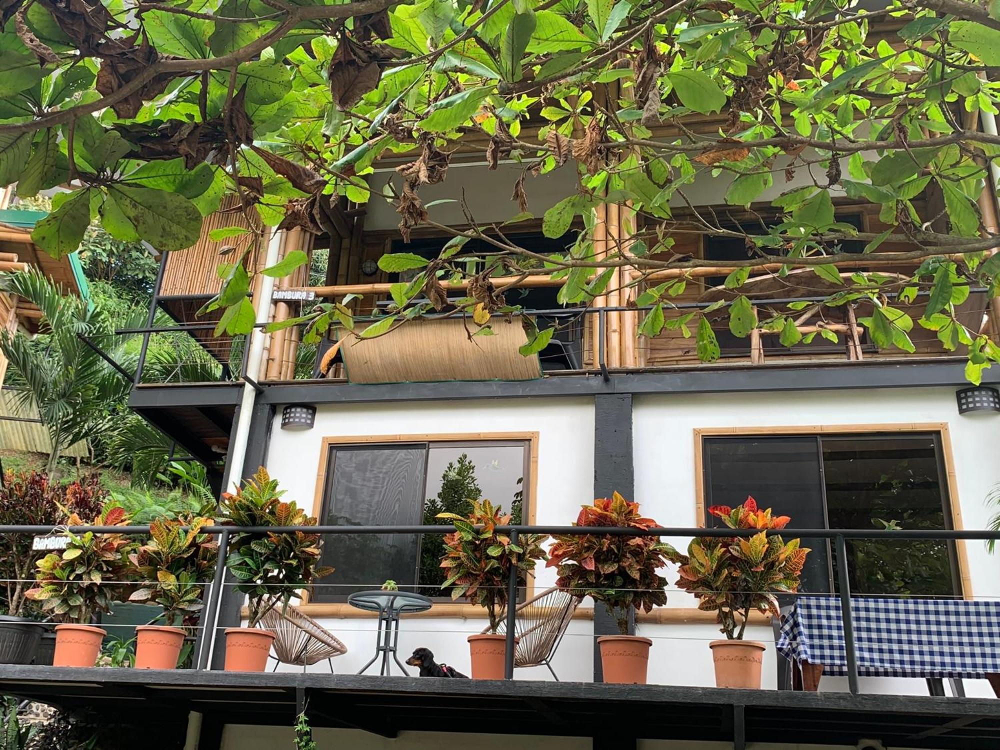 Bambura Hermosa Villas Uvita Exterior foto
